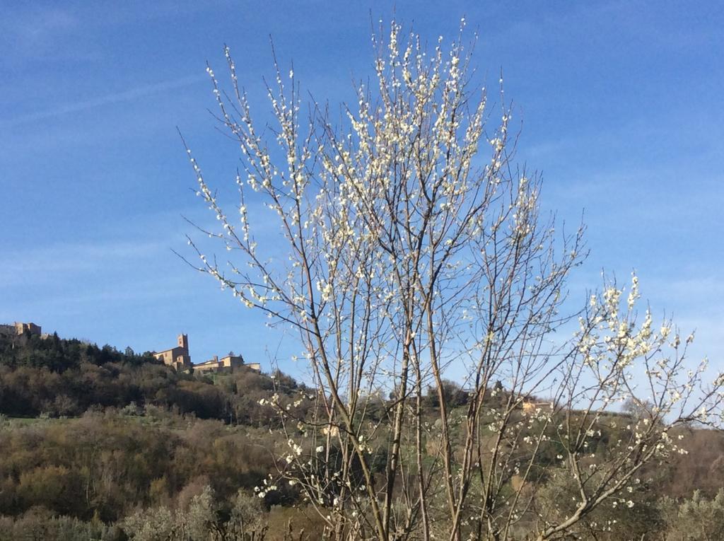 Agriturismo Le Canterie Radicondoli Εξωτερικό φωτογραφία