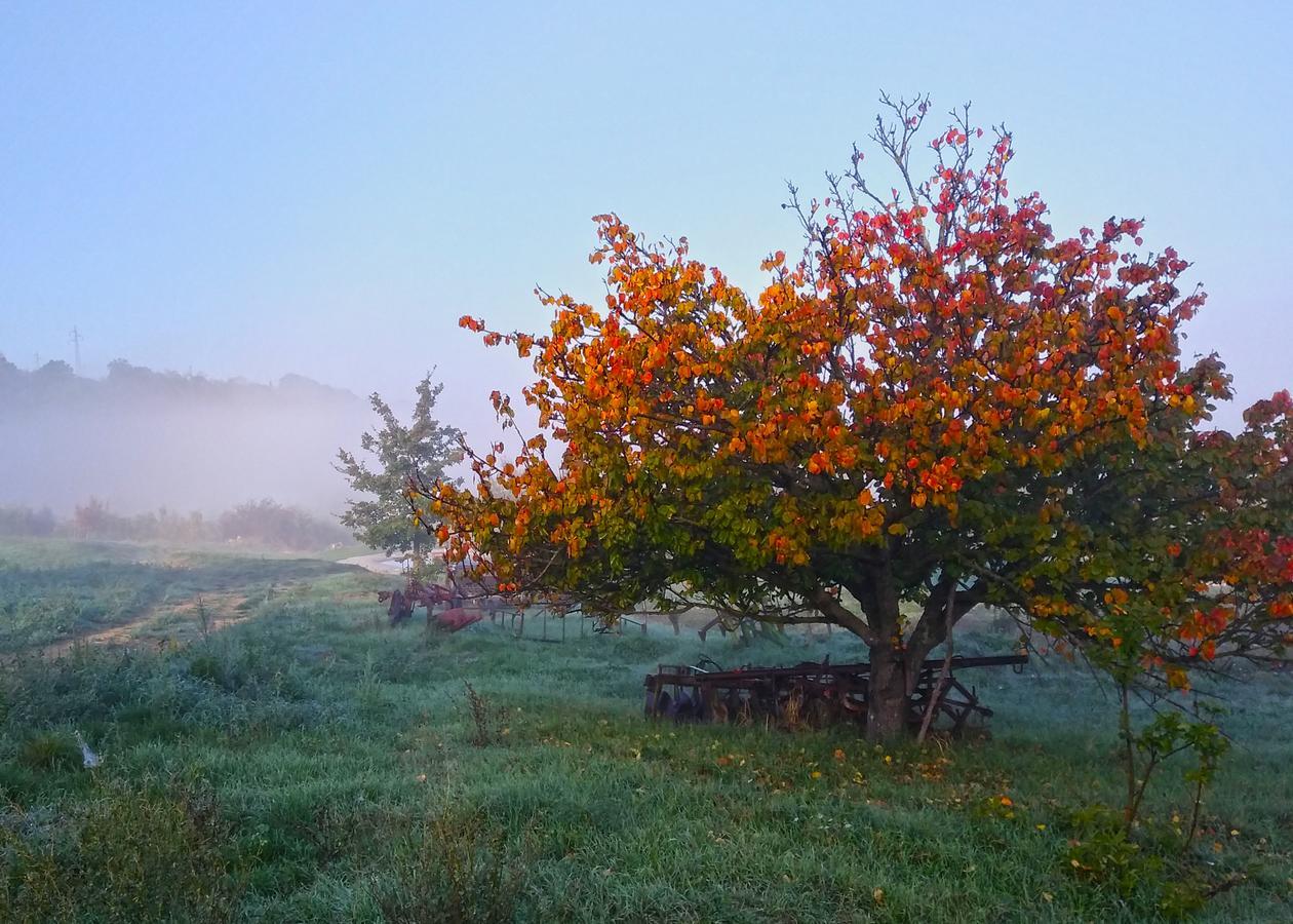 Agriturismo Le Canterie Radicondoli Εξωτερικό φωτογραφία