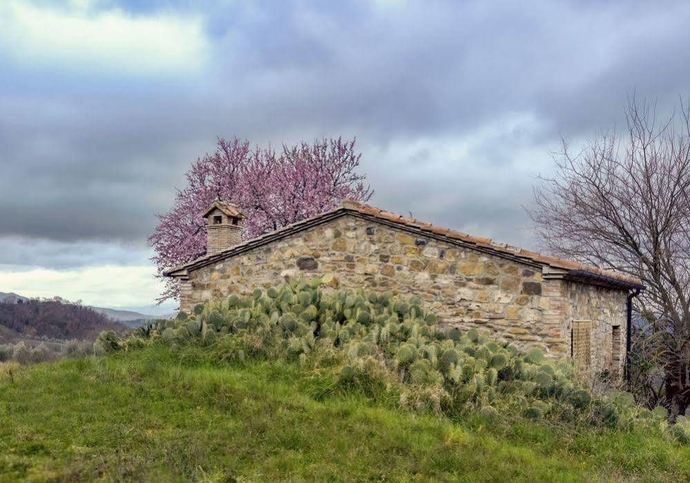 Agriturismo Le Canterie Radicondoli Εξωτερικό φωτογραφία